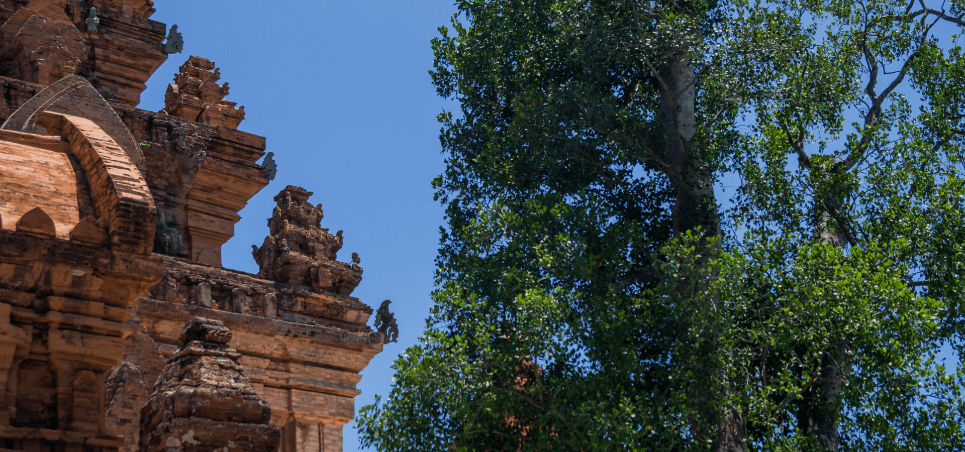 LỄ HỘI PUIS TẠI NINH THUẬN